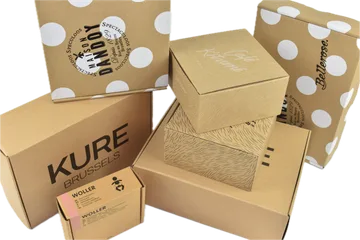 Expresslieferung Kisten in Zwijnaarde Belgien