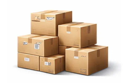 Expresslieferung Kisten in Zwijnaarde Belgien